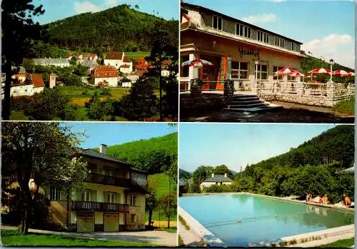 54387 - Niederösterreich - Raisenmarkt , bei Mayerling , Gasthof Hirschhofer , Mehrbildkarte - gelaufen 1980