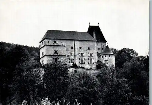 54432 - Niederösterreich - Feistritz , am Wechsel , Burg Feistritz am Wechsel - nicht gelaufen