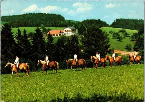 54478 - Niederösterreich - Aggsbach , Markt , Wachau , gasthof Pension Hubhof , Pferde - nicht gelaufen