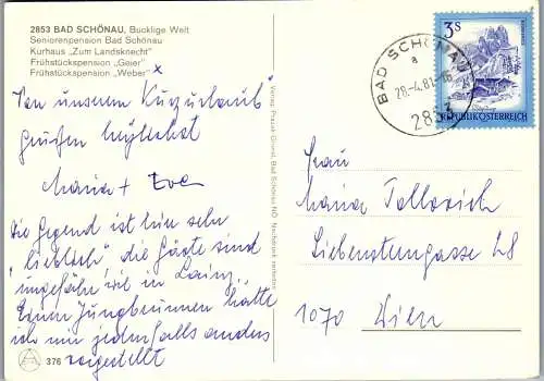 54510 - Niederösterreich - Bad Schönau , Pension Bad Schönau , Pension Geier , Weber , Zum Landsknecht - 1981