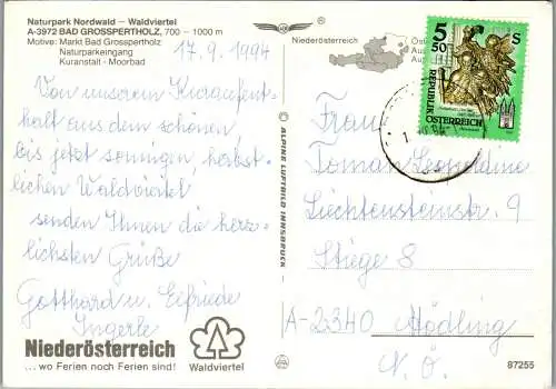 54518 - Niederösterreich - Bad Grosspertholz , Waldviertel , Kuranstalt , Panorama - gelaufen 1994