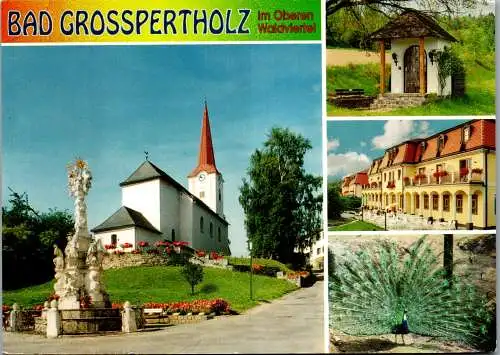 54519 - Niederösterreich - Bad Grosspertholz , Waldviertel , Mehrbildkarte - gelaufen 1995