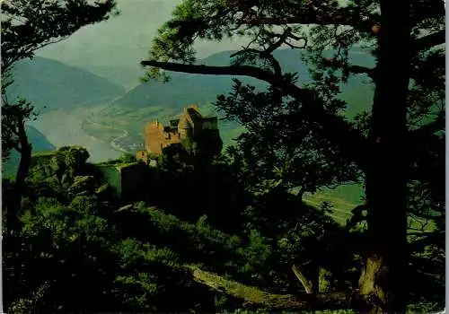 54565 - Niederösterreich - Aggstein , Ruine Aggstein , Wachau - gelaufen