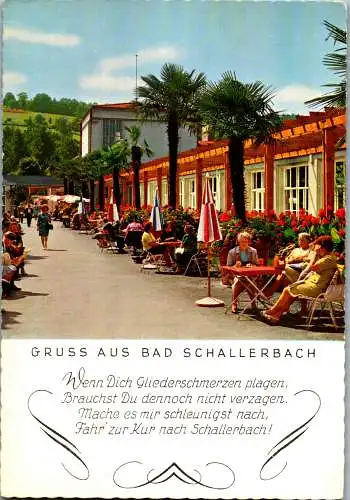 54586 - Oberösterreich - Bad Schallerbach , Rheuma Heilbad , Kurpromenade , Palmengarten - gelaufen 1972