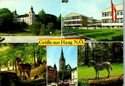 54652 - Niederösterreich - Haag , Tierpark , Schloß Salaberg , Mehrbildkarte - gelaufen