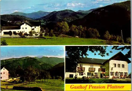 54706 - Niederösterreich - Kleinzell , Gasthof u. Pension Plattner , Inh. H. u. F. Gaupmann - nicht gelaufen