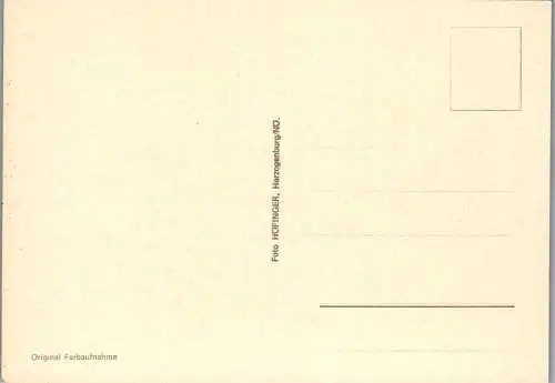54724 - Niederösterreich - Hollenburg , an der Donau , Mehrbildkarte - nicht gelaufen