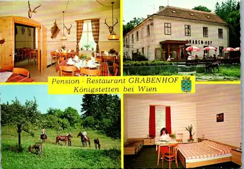 54733 - Niederösterreich - Königstetten , Pension Restaurant Grabenhof - nicht gelaufen