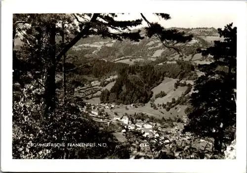 54745 - Niederösterreich - Frankenfels , an der Mariazellerbahn , Panorama - gelaufen