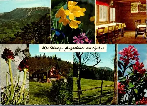 54751 - Niederösterreich - Pottschach , Waldburg Angerhütte , Bodenwiese am Gahns - nicht gelaufen