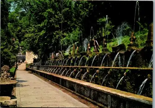 54788 - Italien - Tivoli , Villa D'Este , Viale delle Cento Fontane - gelaufen 1985
