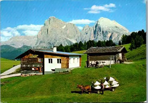 54843 - Italien - Seiser Alpe , Alpe di Siusi , Ritsch Schwaige , Pferdewagen - gelaufen 1969