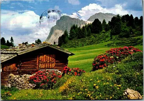 54845 - Italien - Seiser Alm , Schlerngebiet , gegen Langkofel , Sassolungo - gelaufen 1976