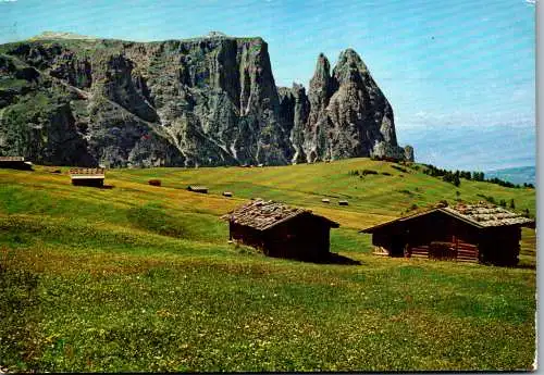 54846 - Italien - Seiser Alm , verso Sciliar , Alpe di Siusi , Schlern - gelaufen 1965