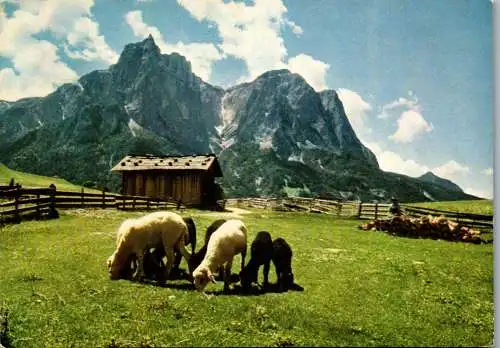 54849 - Italien - Schlern , Santer Spitze bei Kastelruth - gelaufen 1967