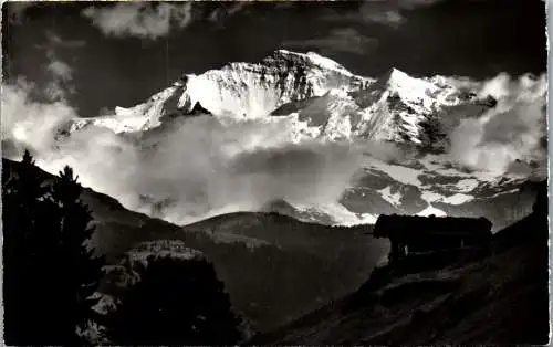 54947 - Schweiz - Jungfrau , Die Jungfrau im Abendlicht - nicht gelaufen