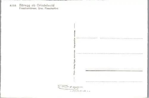 55036 - Schweiz - Grindelwald , Bäregg , Fiescherhorn , Fiescherfirn - nicht gelaufen