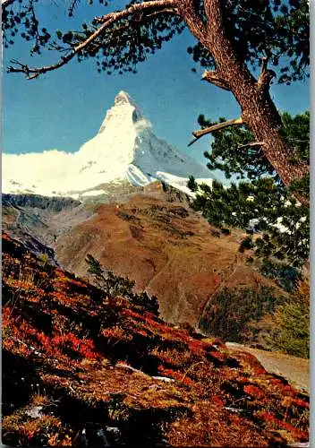 55057 - Schweiz - Zermatt , Riffelalp mit Matterhorn - gelaufen 1971