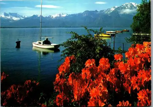 55060 - Schweiz - Montreux , Lac Leman , Dents du Midi et Grammont - gelaufen 1983