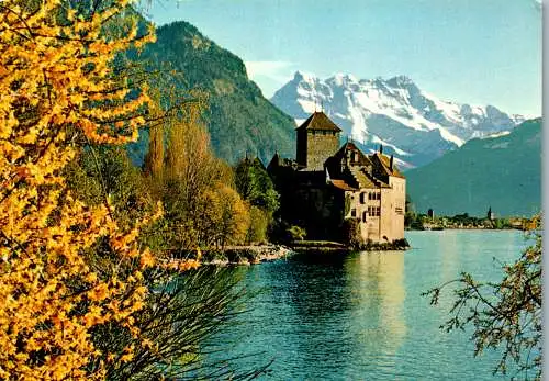 55061 - Schweiz - Villeneuve , Chateau de Chillon pres Montreux et les Dents du Midi - gelaufen 1979