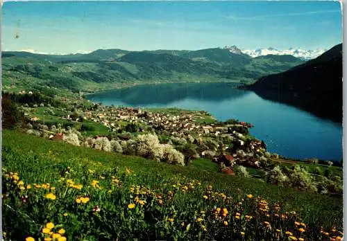 55070 - Schweiz - Oberägeri , mit Hochalpen - gelaufen 1977