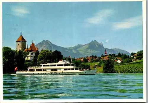 55095 - Schweiz - Spiez , MS Beatus auf dem Thunersee bei Spiez , Berner Oberland - gelaufen 1964