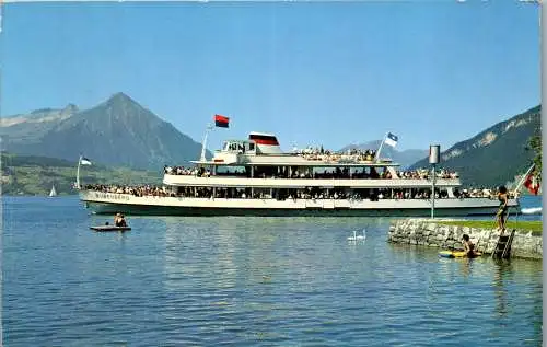 55097 - Schweiz - Thunersee , Niesen , MS Bubenberg - gelaufen 1964