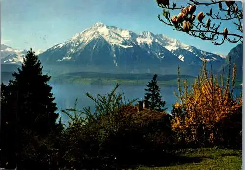 55101 - Schweiz - Thunersee , und Niesen - gelaufen 1970