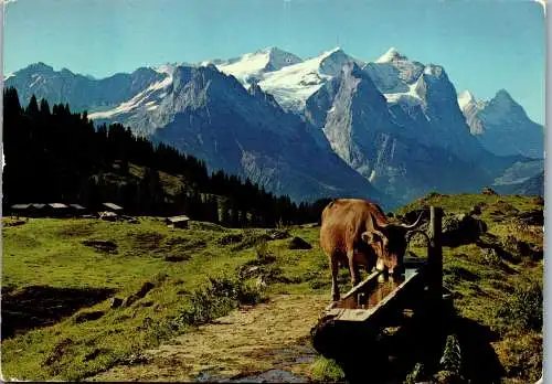 55112 - Schweiz - Mägisalp , Wetterhorngruppe , Eiger - gelaufen 1975