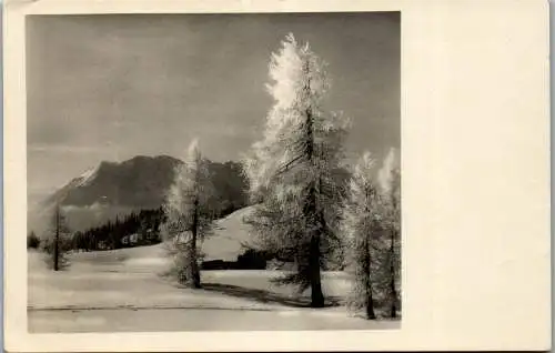 55183 - Steiermark - Seenplatte , Ausblick gegen den Grimming - gelaufen 1932