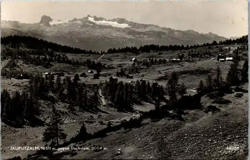 55206 - Steiermark - Tauplitz , Tauplitzalm gegen Dachstein - nicht gelaufen