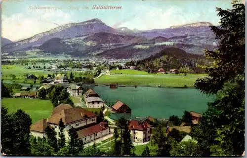 55310 - Oberösterreich - Steeg , am Hallstättersee , Panorama - gelaufen 1917