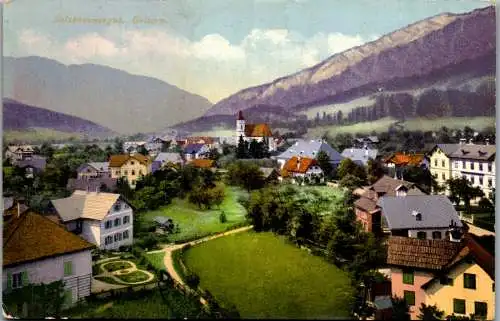 55415 - Oberösterreich - Goisern , Panorama - gelaufen 1906