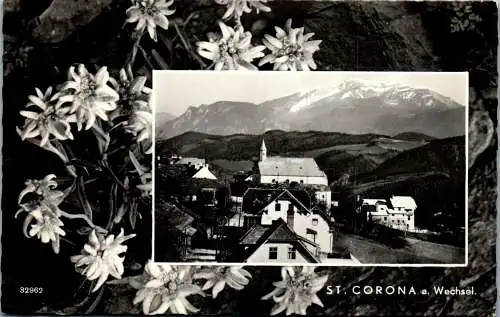 55467 - Niederösterreich - St. Corona am Wechsel , Panorama - gelaufen 1960