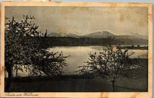 55507 - Salzburg - Neumarkt , Wallersee , Panorama - gelaufen 1922