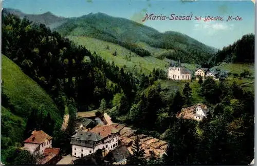 56065 - Niederösterreich - Maria Seesal , bei Ybbsitz , Panorama - gelaufen 1917