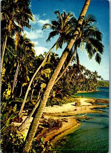 56199 - Neukaledonien - Nouvelle Caledonie , Paysage de la Cote Est , East Coast landscape - gelaufen 1977