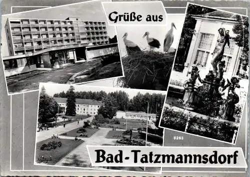 56227 - Burgenland - Bad Tatzmannsdorf , Mehrbildkarte - nicht gelaufen