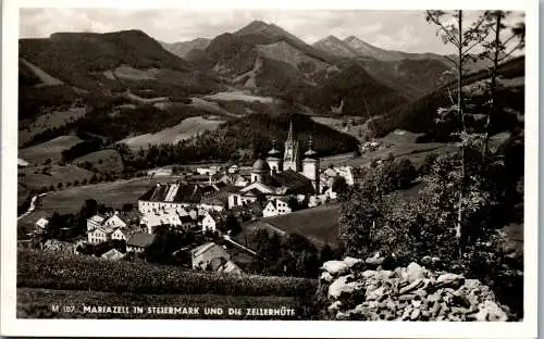 56272 - Steiermark - Mariazell , Zellerhütte , Panorama - gelaufen 1952