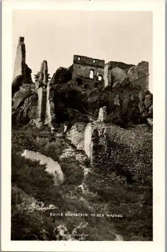 56319 - Niederösterreich - Dürnstein , Ruine Dürnstein in der Wachau - nicht gelaufen