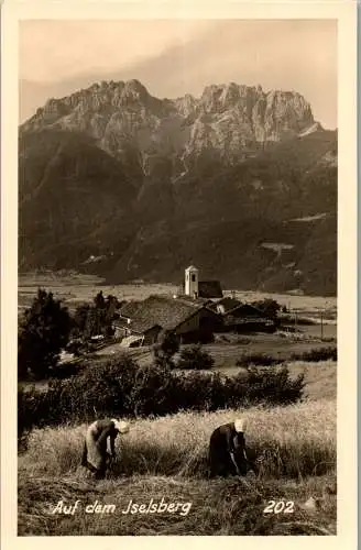 56336 - Tirol - Iselsberg , Keilspitze , Laserzwand , Bauern bei der Arbeit - nicht gelaufen