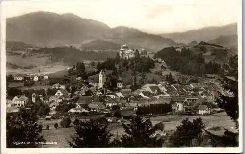 56346 - Steiermark - Neumarkt , Panorama - gelaufen 1929