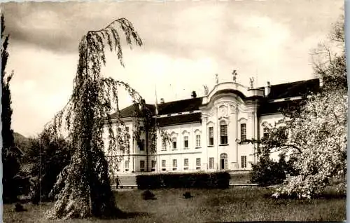 56404 - Steiermark - Schielleiten , Stubenberg , Bundessportschule Schloss Schielleiten - gelaufen