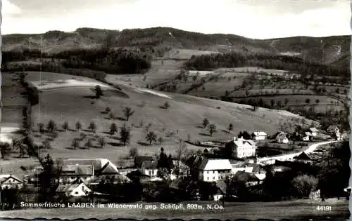 56406 - Niederösterreich - Laaben , im Wienerwald gegen Schöpfl , Panorama - gelaufen 1972