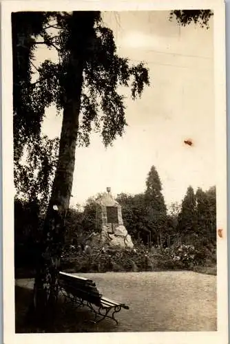 56696 - Tschechien - Ceska Trebova , Monument , Denkmal - gelaufen 1931