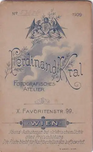 56733 - Aufnahme - Fotokarte , Zwei Herren , Atelier Ferdinand Kral Wien - nicht gelaufen 1909