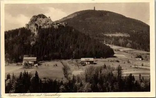 57046 - Tschechien - Ruine Tollenstein , Toltejn , Tannenberg ,  Ji?etín pod Jedlovou , Okres D??ín - gelaufen