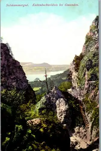 57088 - Oberösterreich - Gmunden , Kaltenbachwildnis , Salzkammergut - nicht gelaufen 1906