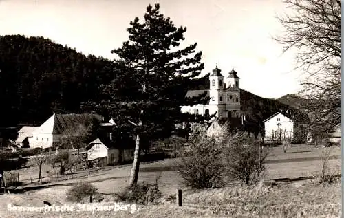 57152 - Niederösterreich - Hafnerberg , Somemrfrische , Panorama - gelaufen