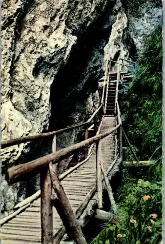 57165 - Niederösterreich - Steinwandklamm , Lange Brücke - gelaufen 1960